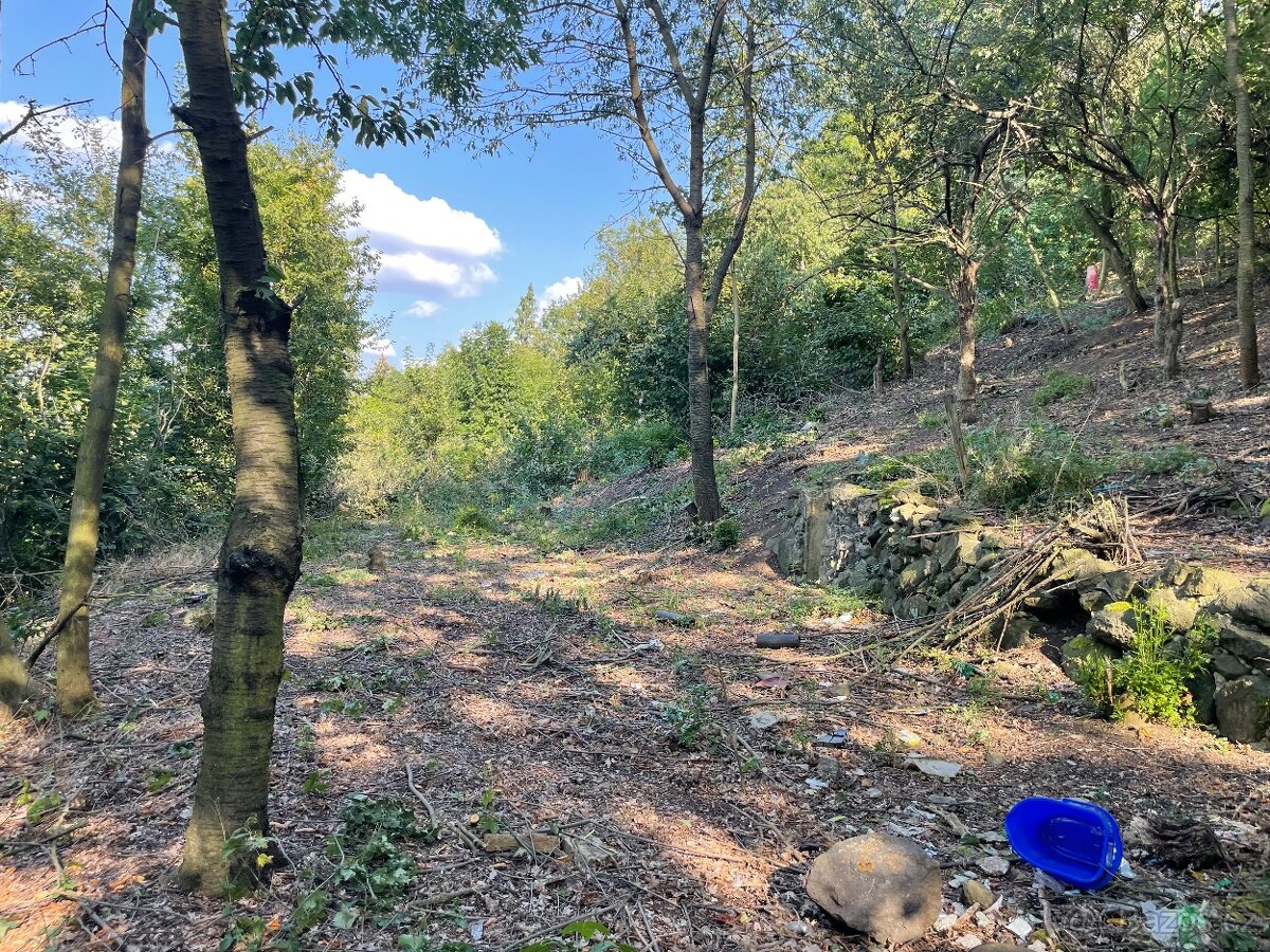 Pozemek zahrada 1100m2