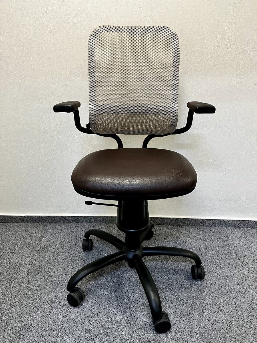 kancelářská židle Spinalis Ergonomic