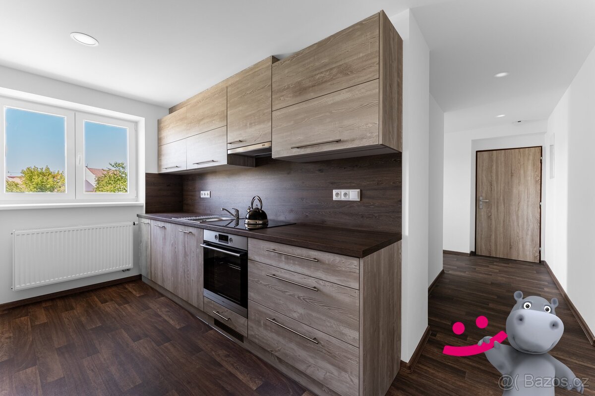 Pronájem bytu 1+1, Třešňové sady, Holešov, 47 m2