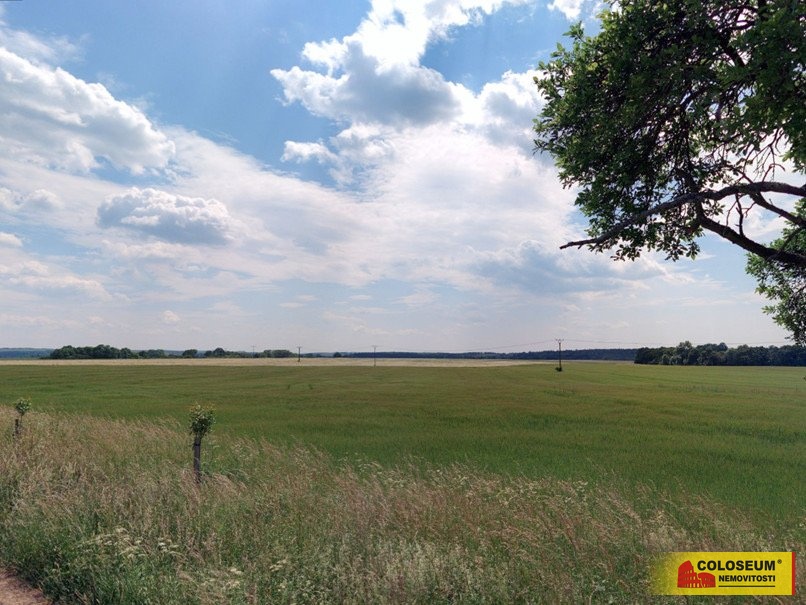 Šošůvka, zemědělská půda, celková rozloha 12.004 m² - pozeme