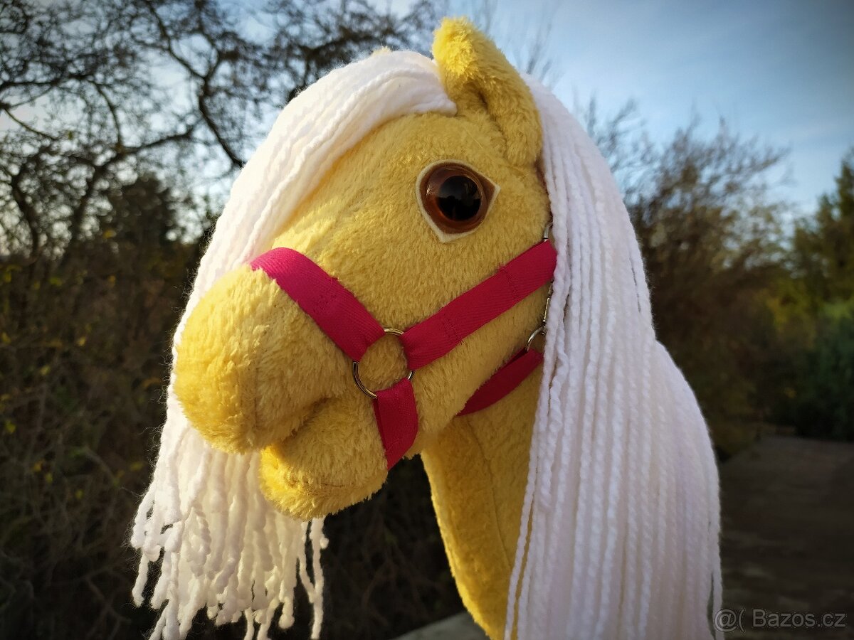 Hobby horse