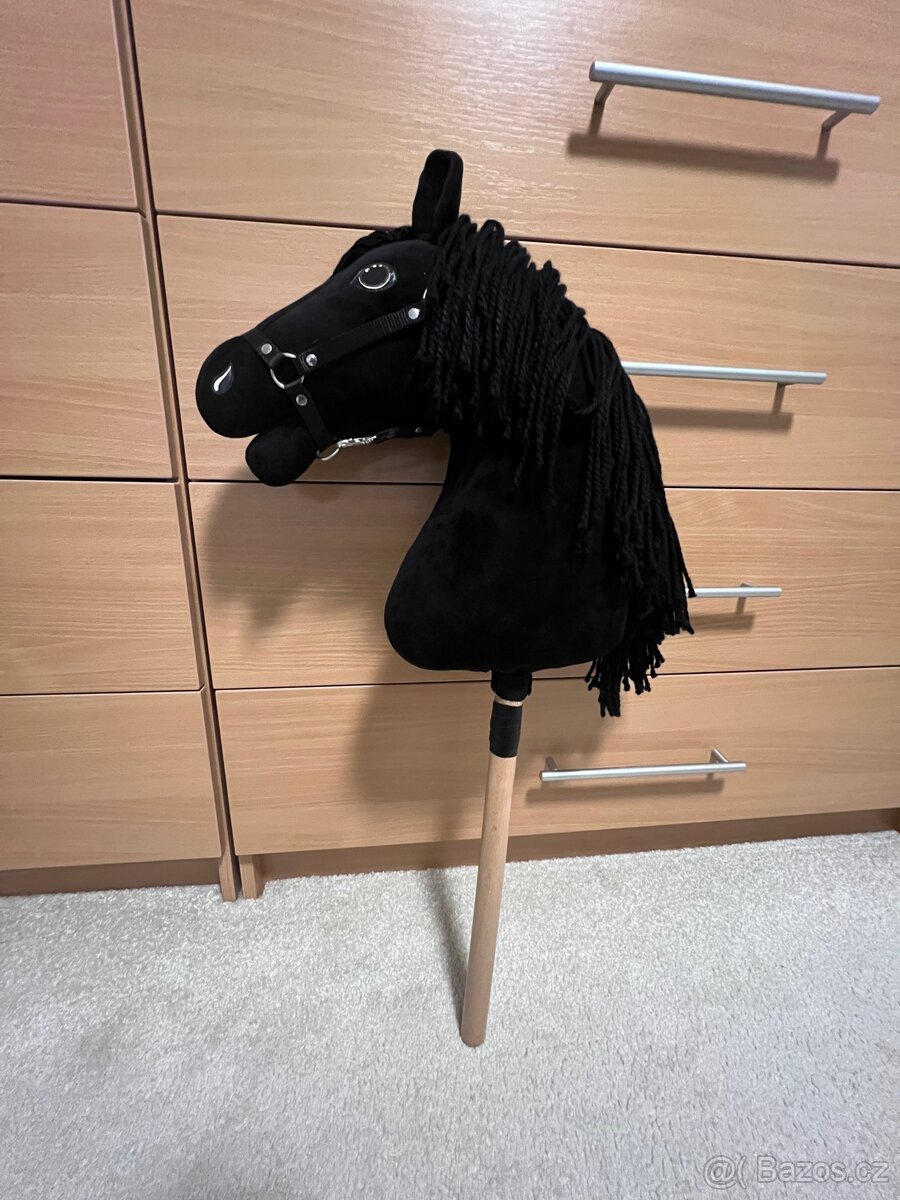 hobby horse