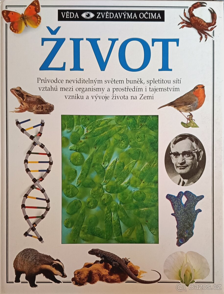 Věda zvědavýma očima Život