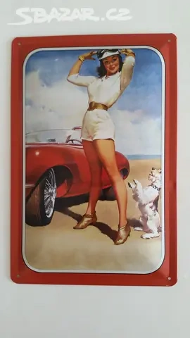 retro plechová cedule sexy žena auto pes