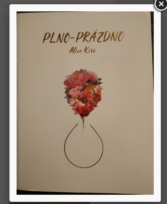 Plno-prázdno Alice Kirš