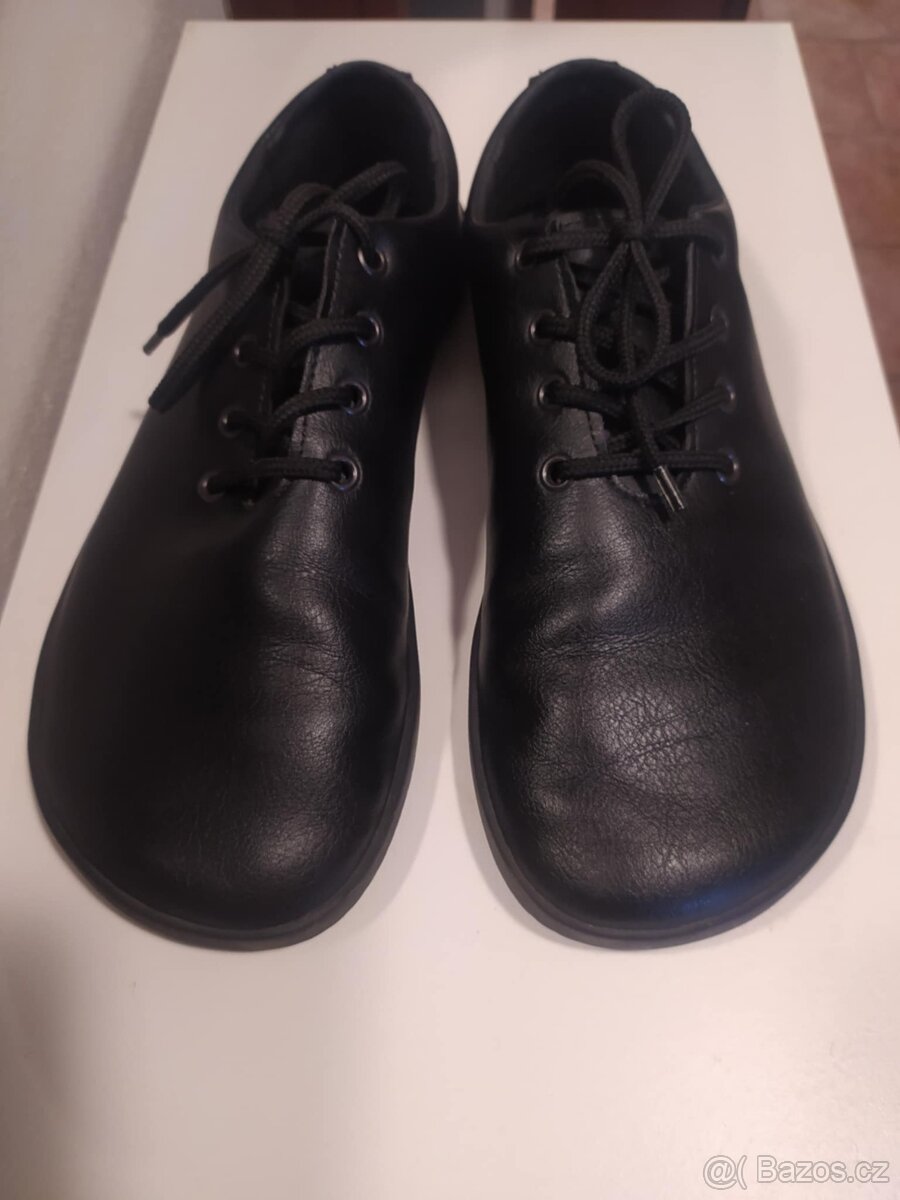 Polobotky AHINSA model Ananda