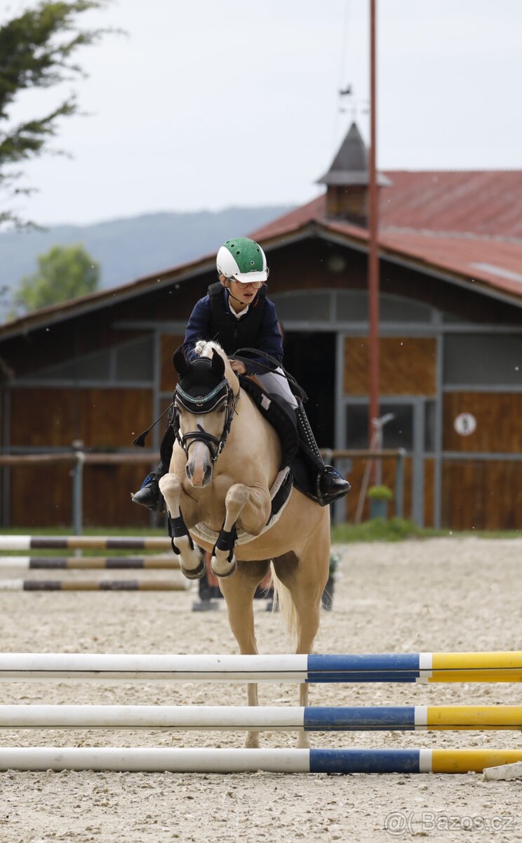 Predam vynikajucu A pony, drezura parkur