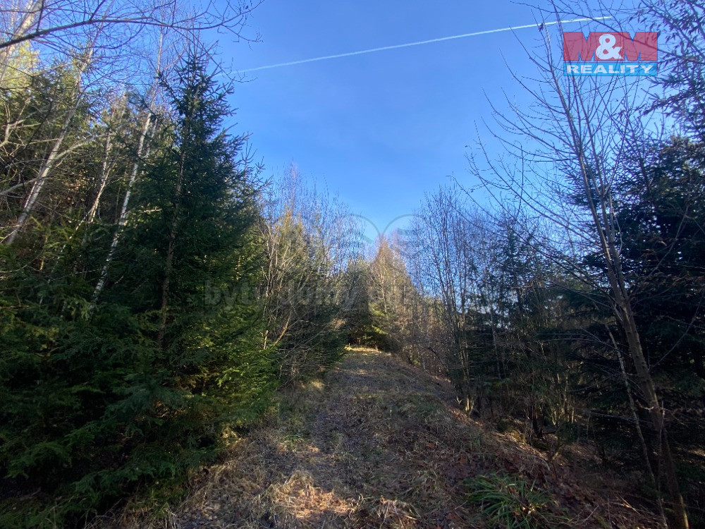 Prodej lesa, 11769 m², Ústí u Vsetína