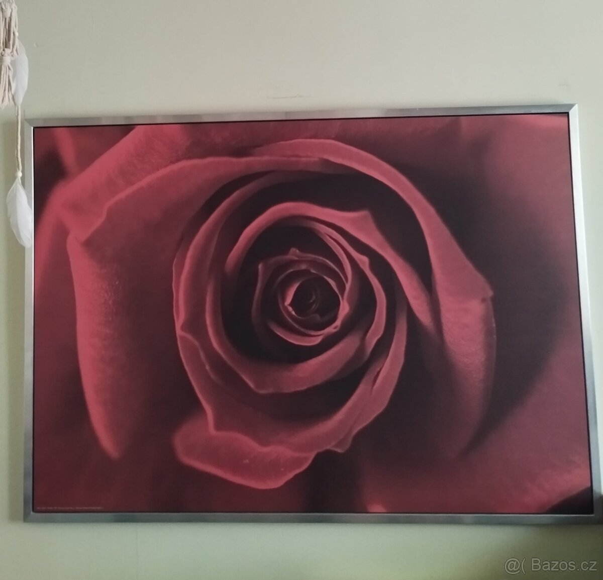 Obraz foto květ růže IKEA