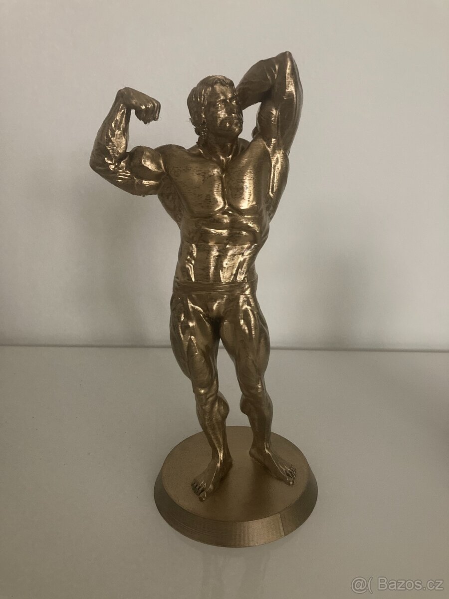 Arnold Schwarzenegger - zlatá soška