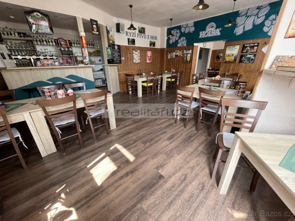 Pronájem komerčních prostor v Plzni, Masarykova ulice