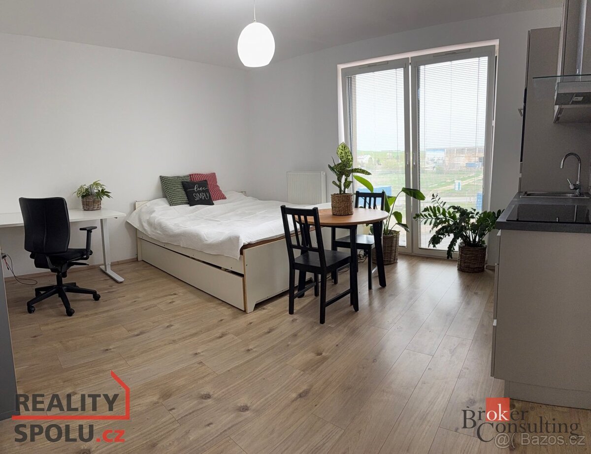 Pronájem, byty/1+kk, 30 m2, Diamantová 854/1, Újezd, 31200 P
