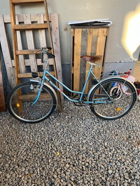 Kolo Lady 26