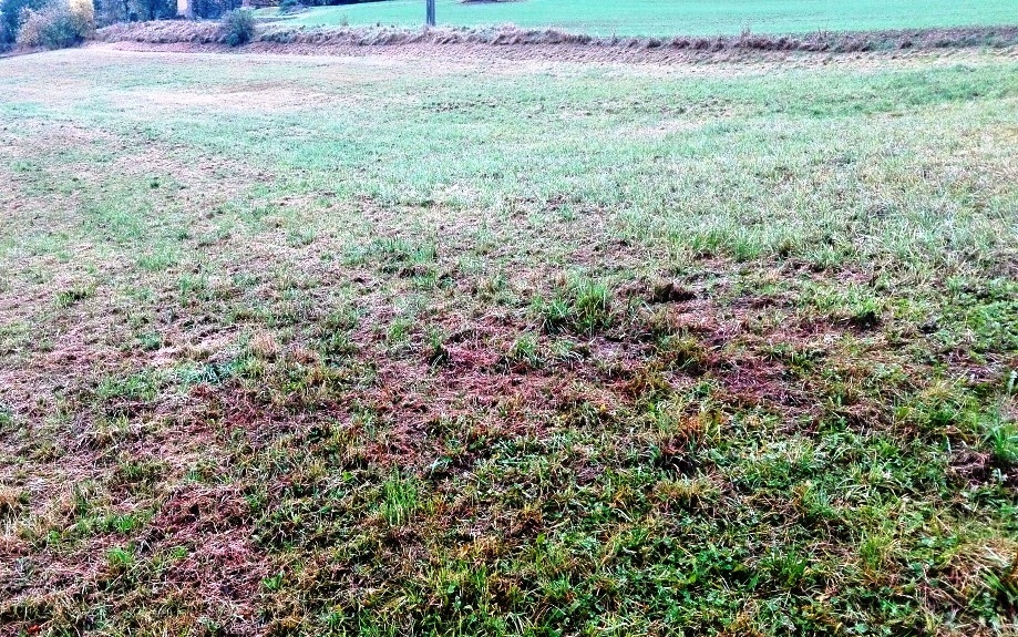 Prodej komerční parcely 9.900 m2