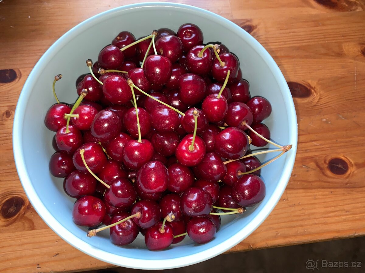 Třešně
