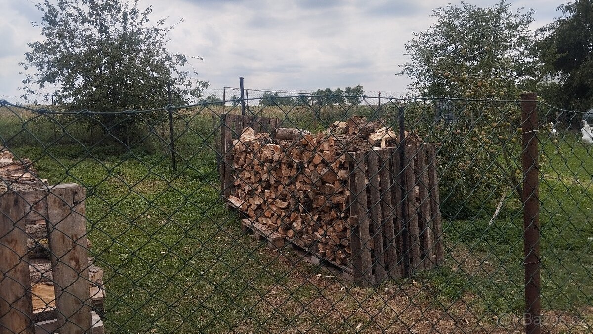 Prodám palivové drevo
