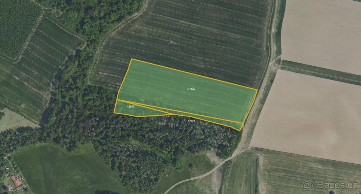 Zemědělská půda, prodej, Hostěradice, Kamenný Přívoz, Praha