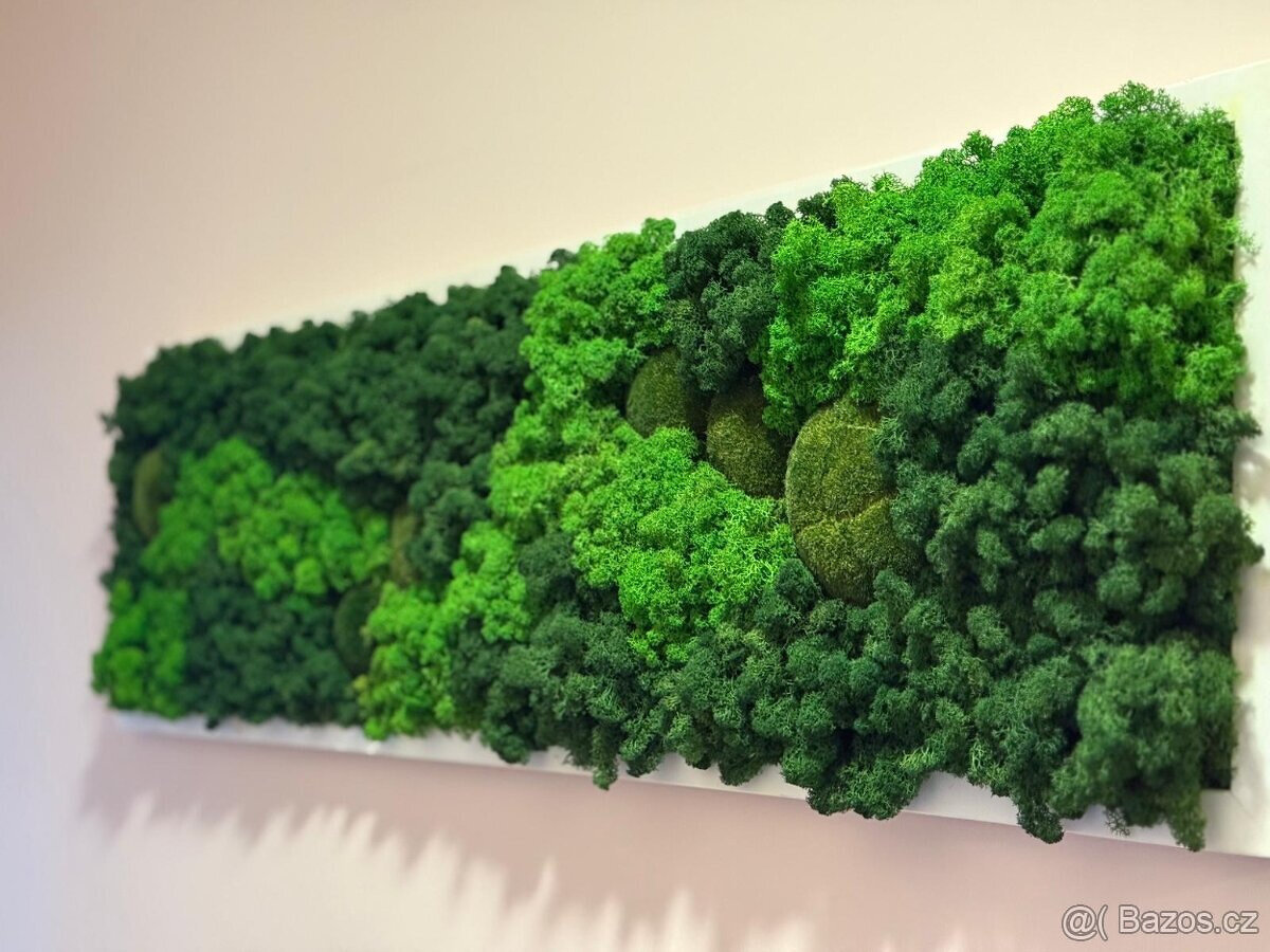 Mechový obraz 130x40 cm