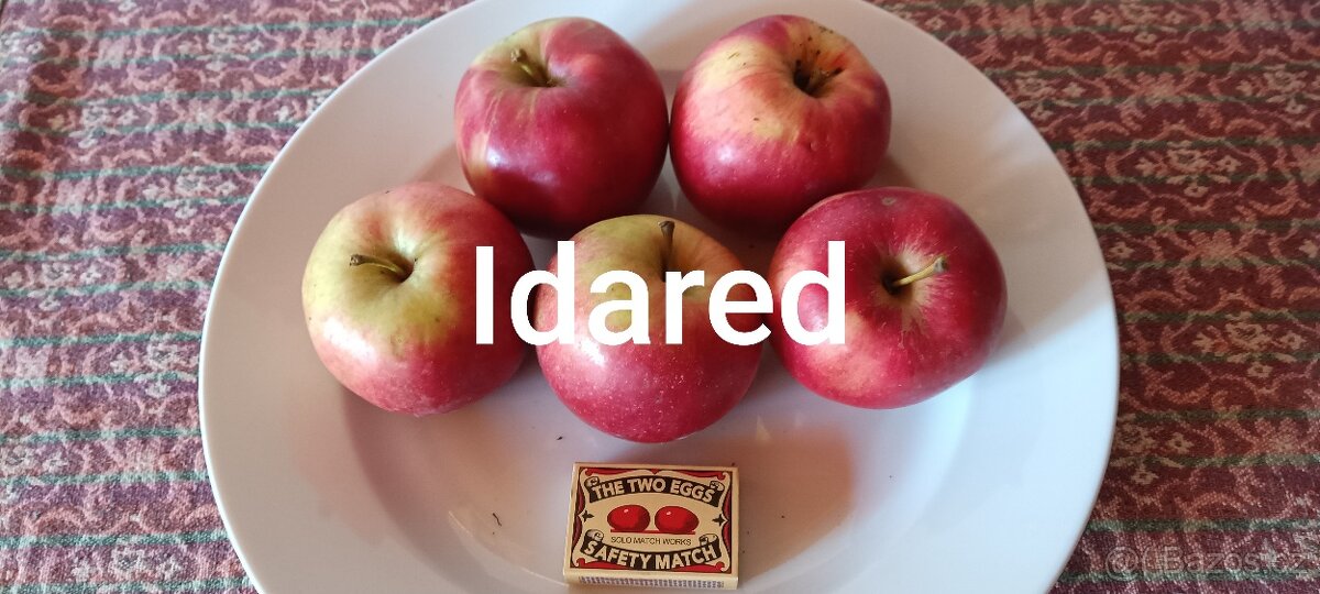 Prodám česaná jablka Idared bez postřiků
