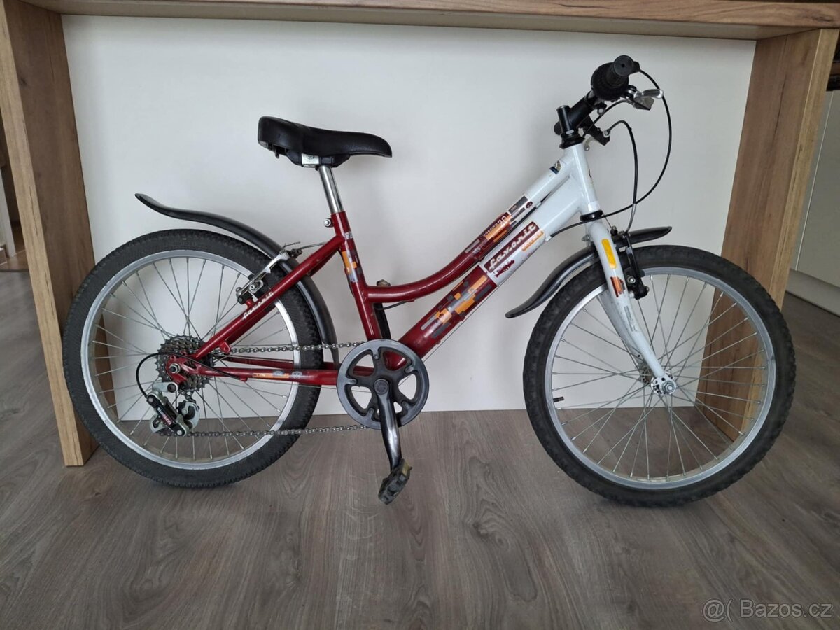 Dětské kolo 20