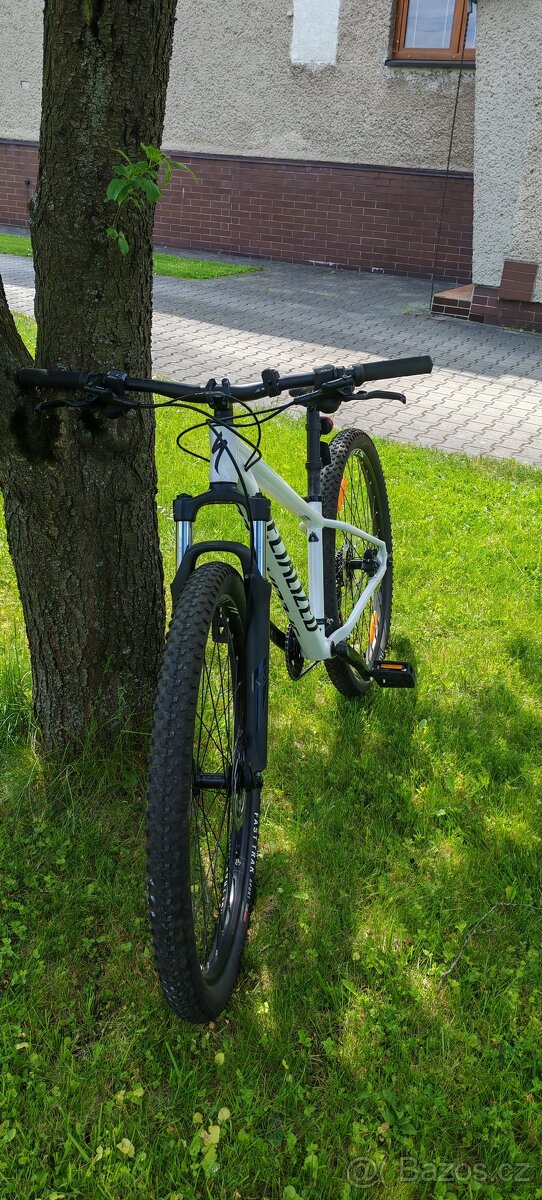 Kolo specialized rockhopper
