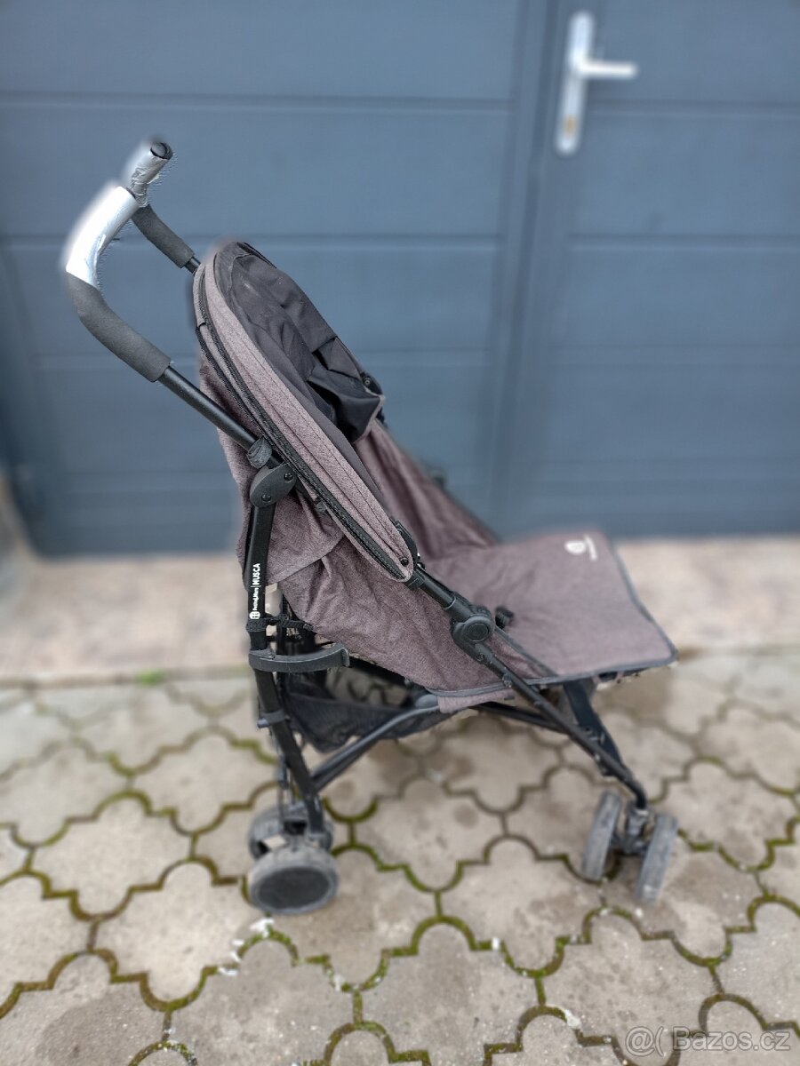 Sportak, kocar