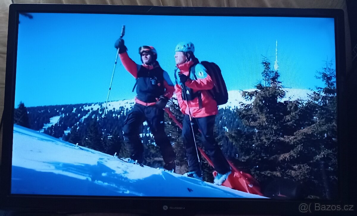 Televize GoGEN TVH 24266