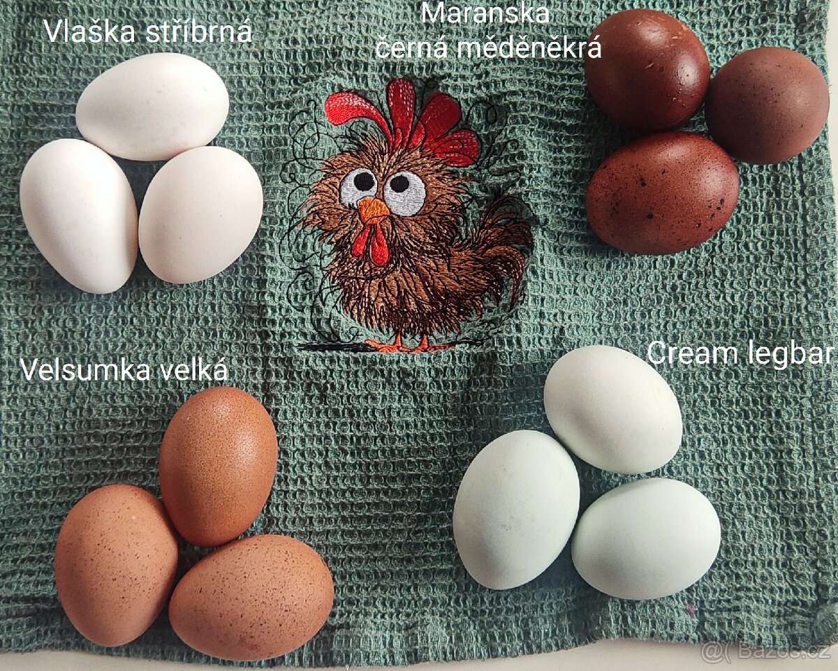 Kuřátka.