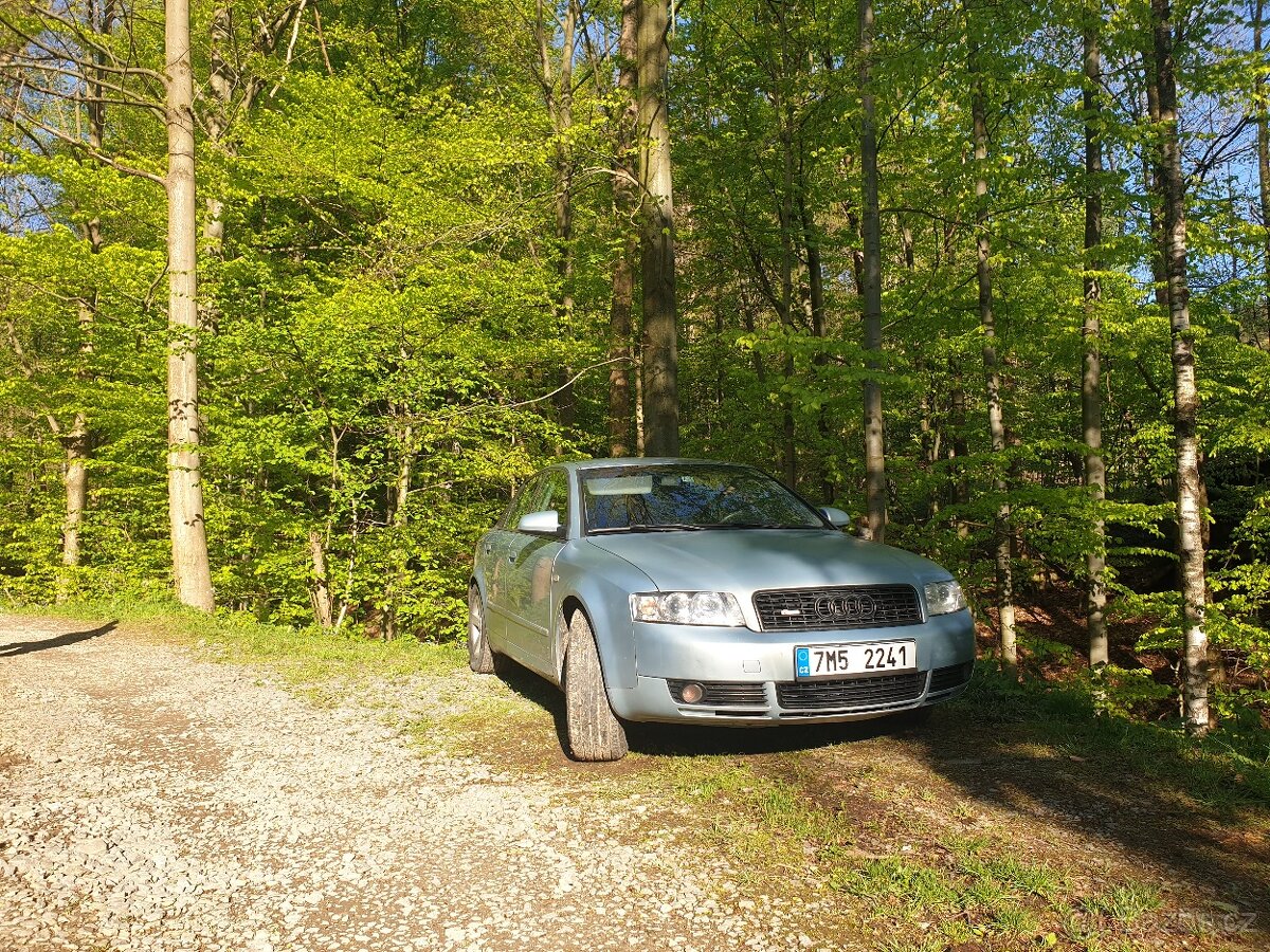 Audi a4 1,9 TDI