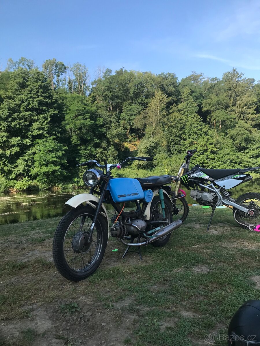 Jawa mustang