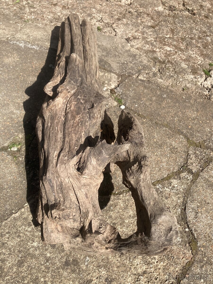 dřevo do terária