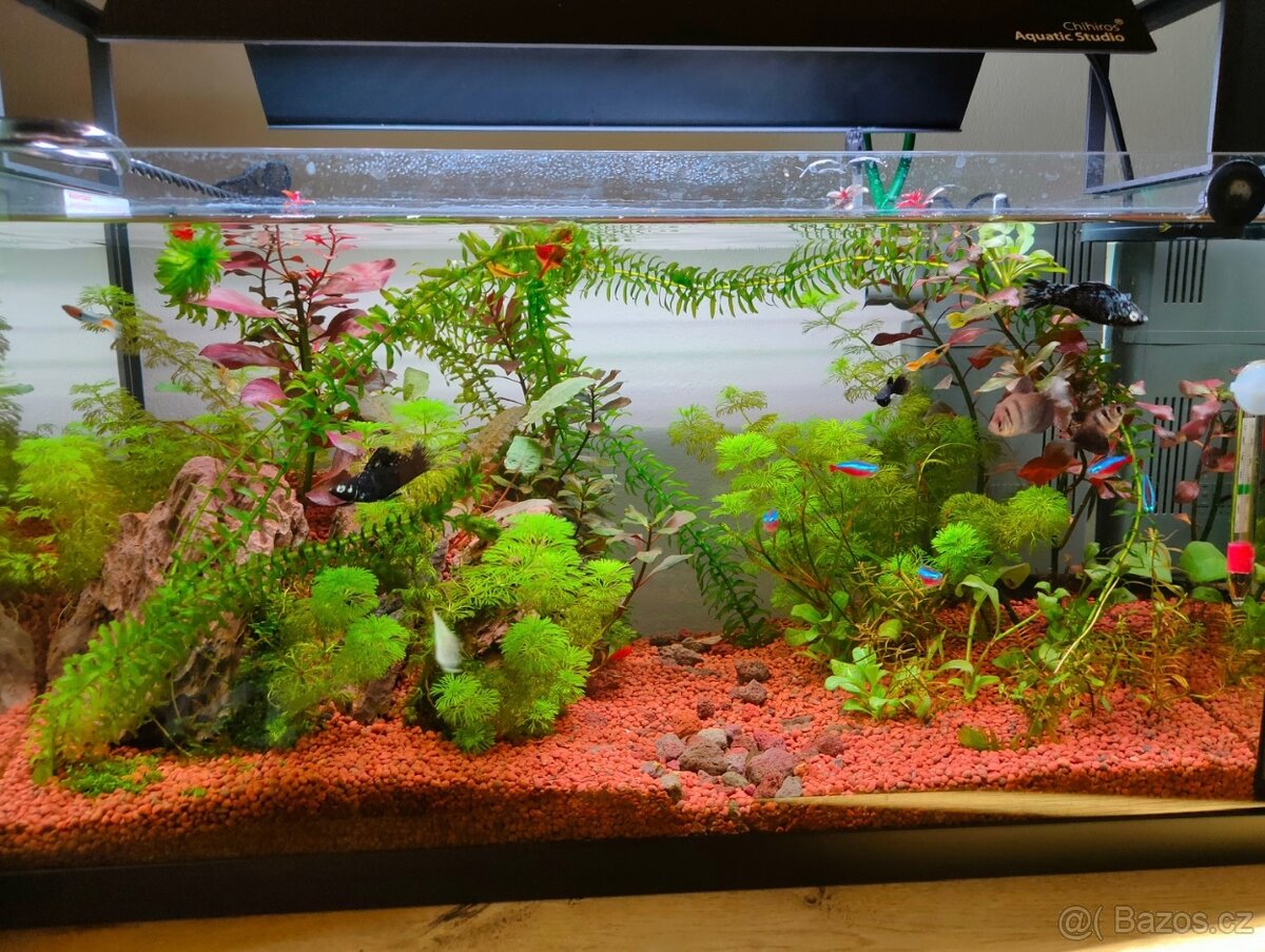Akvárium Juwel 60l