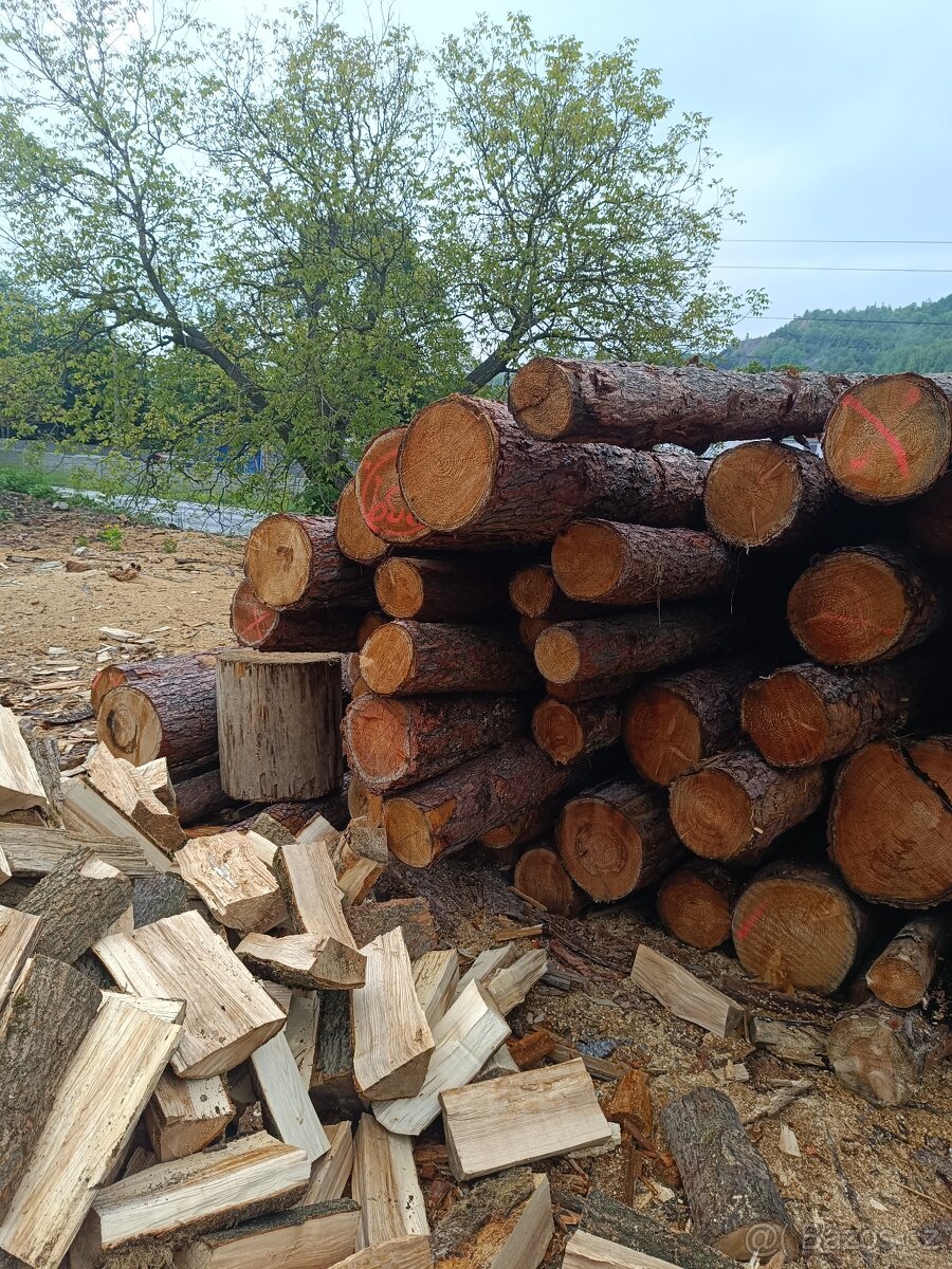 Modřín kulatina