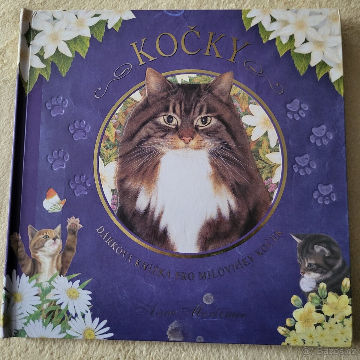 KOČKY pro děti