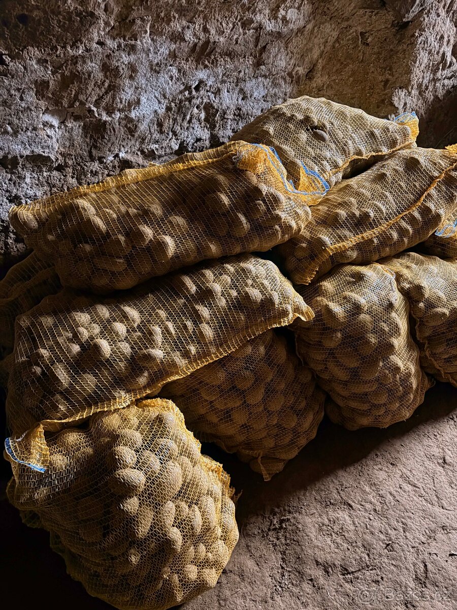 Sadbové brambory odrůdy Marabel