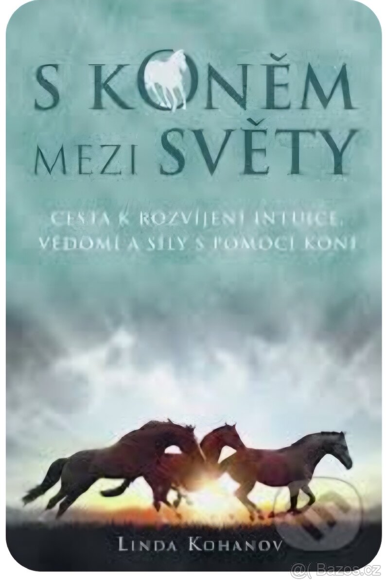 Koupím knihu S KONĚM MEZI SVĚTY