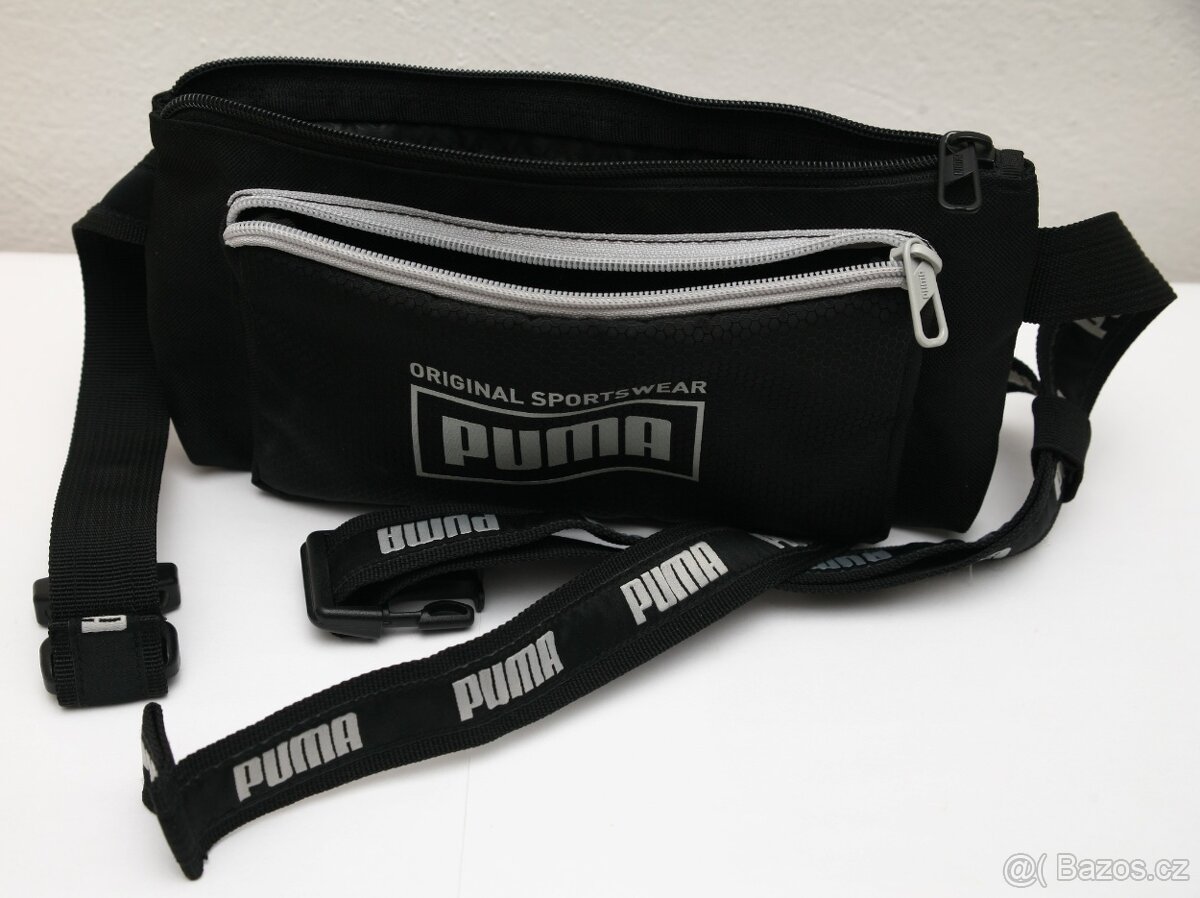 Ledvinka PUMA