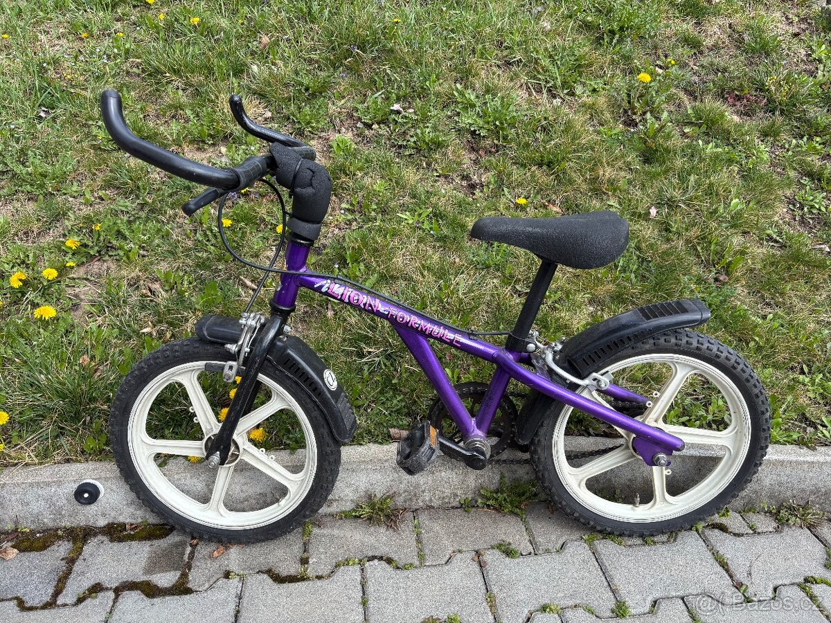 Dětské kolo 16