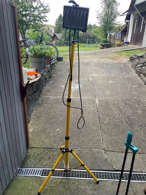 STOJICI LAMPA