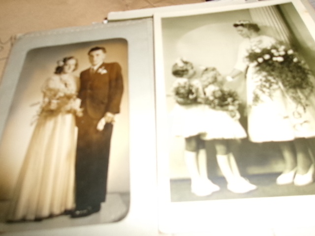 pro sberatele - fotografie