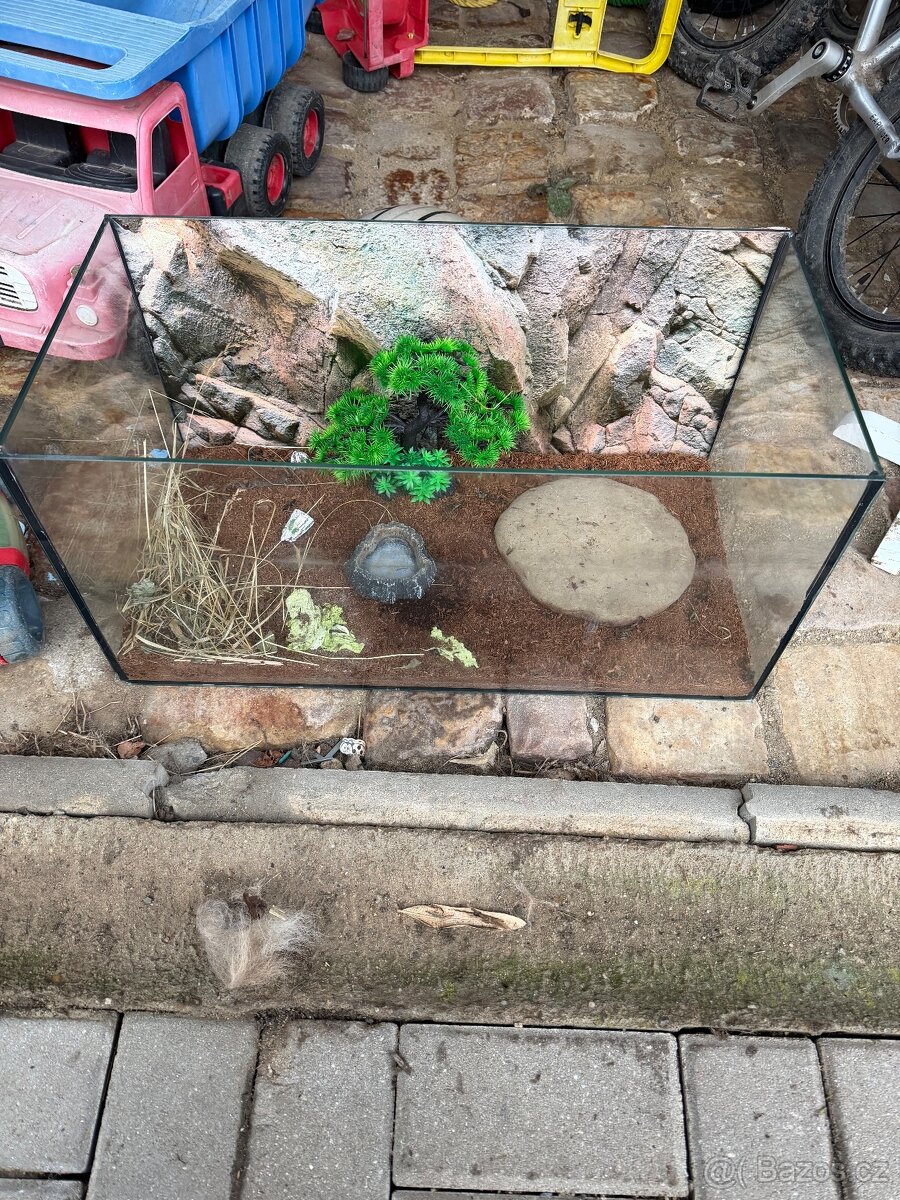 Terárium , akvárium 30x30x60