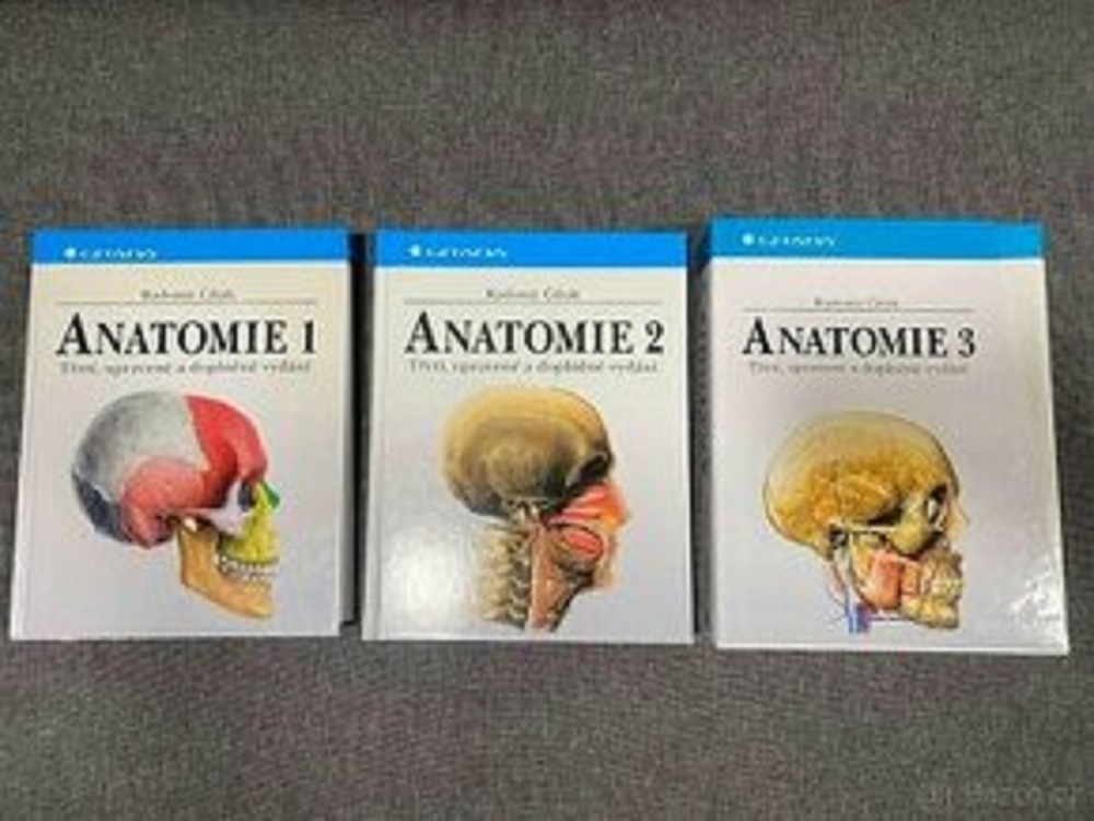 anatomie - čihak