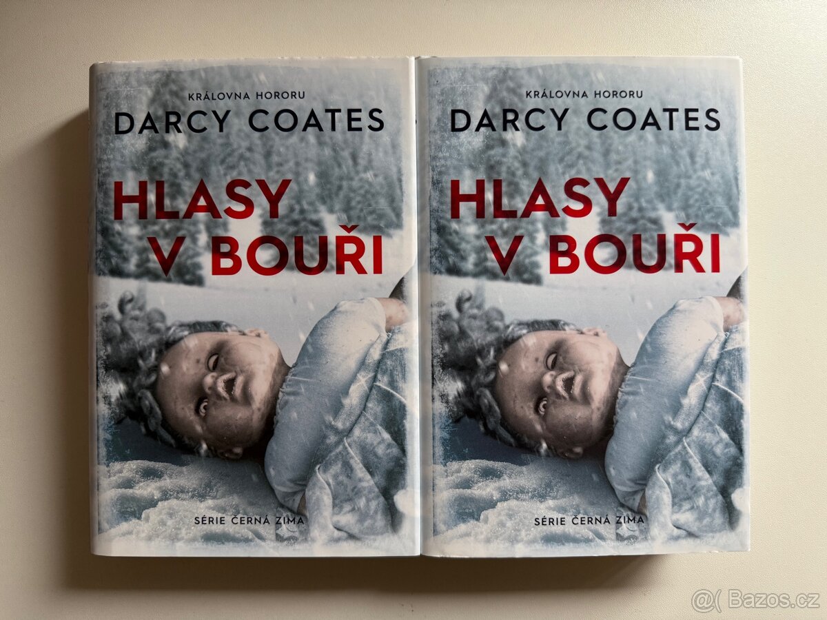 hlasy v bouři