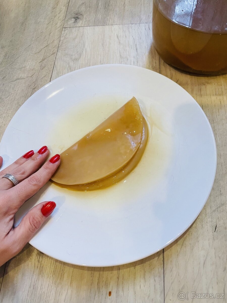 JUN Kombucha do zeleného čaje