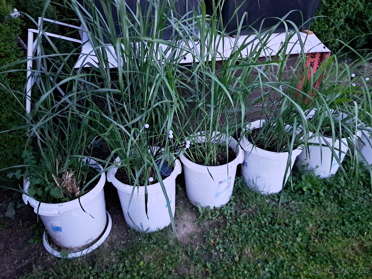 Prázdné bečky od barvy 40kg.