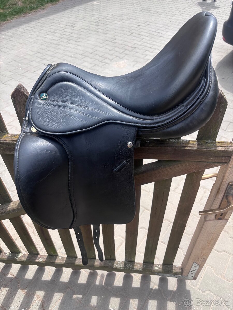 Prestige Lucky Dressage