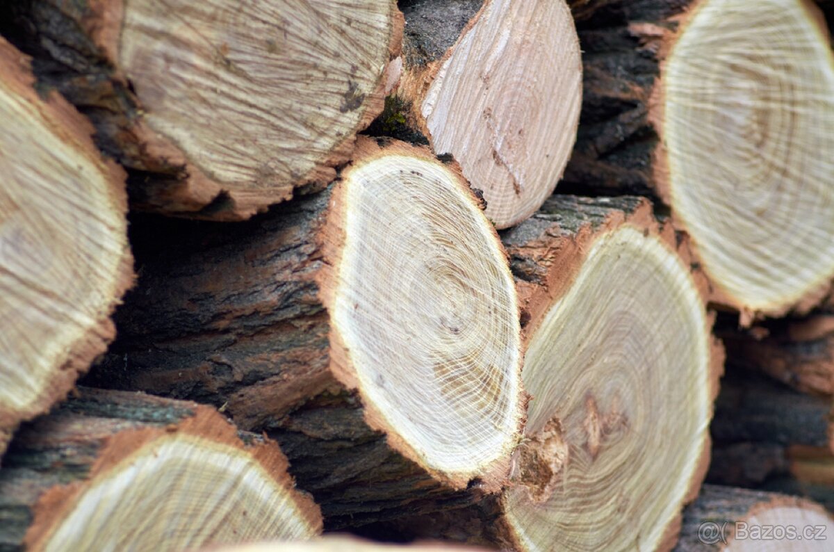 Palivové dřevo dříví tvrdé suché