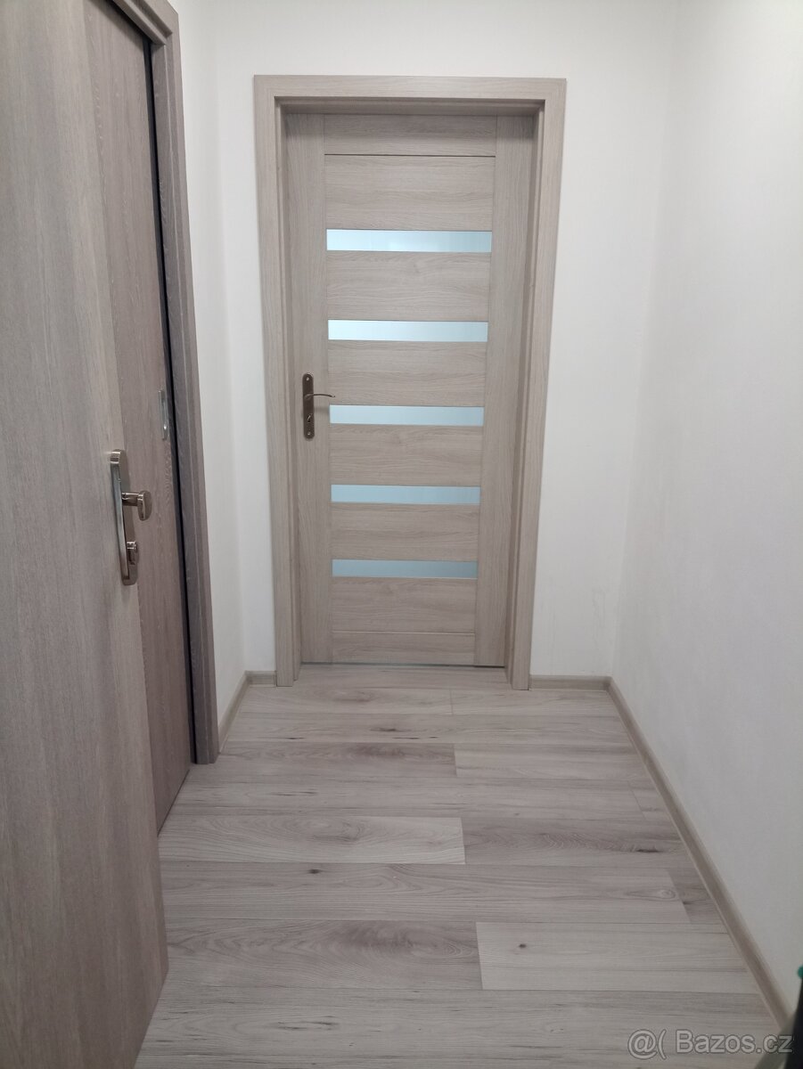 Pronájem bytu 1+kk,v Ostravě Zabrehu