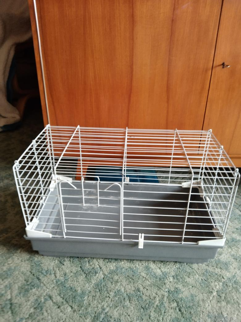 klec pro morče
