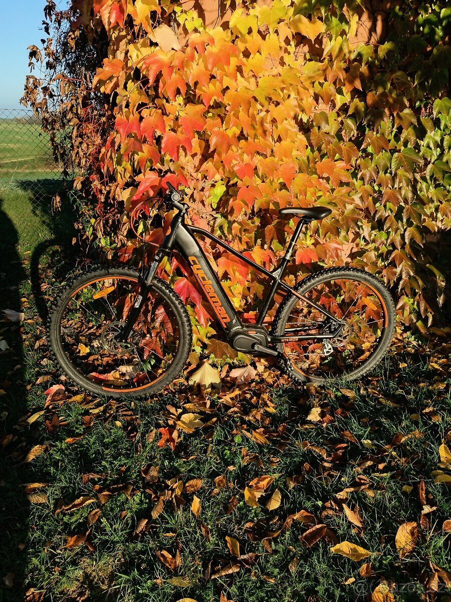 elektrokolo Cycleman MEB08 29"